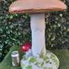 Mushroom Large 50